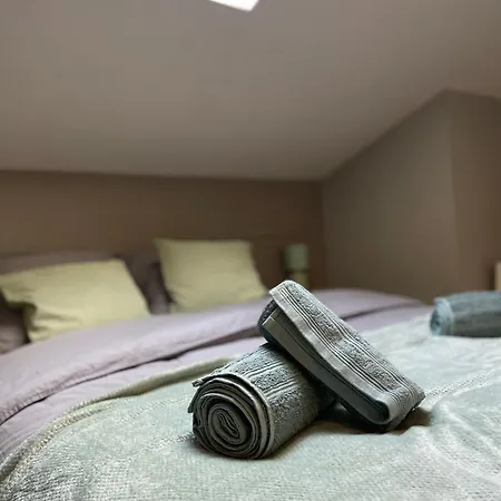 T3 Duplex Cosy - Notre-dame - Netflix - Terrasse