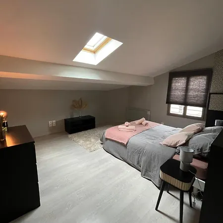 T3 Duplex Cosy - Notre-dame - Netflix - Terrasse *