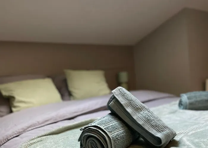 T3 Duplex Cosy - Notre-dame - Netflix - Terrasse