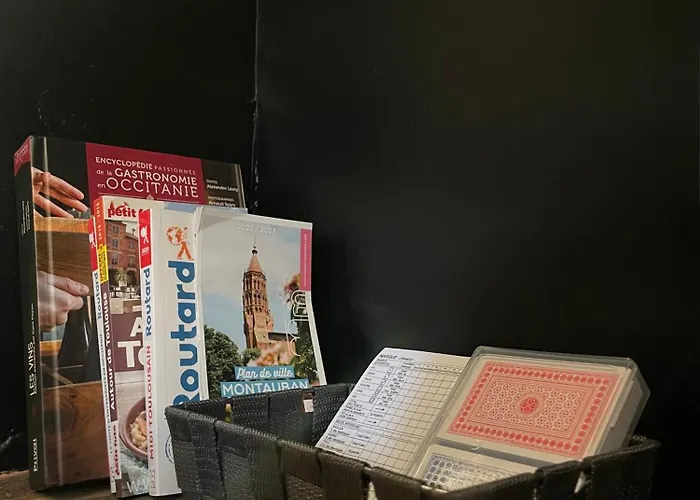 アパート T3 Duplex Cosy - Notre-dame - Netflix - Terrasse モントーバン