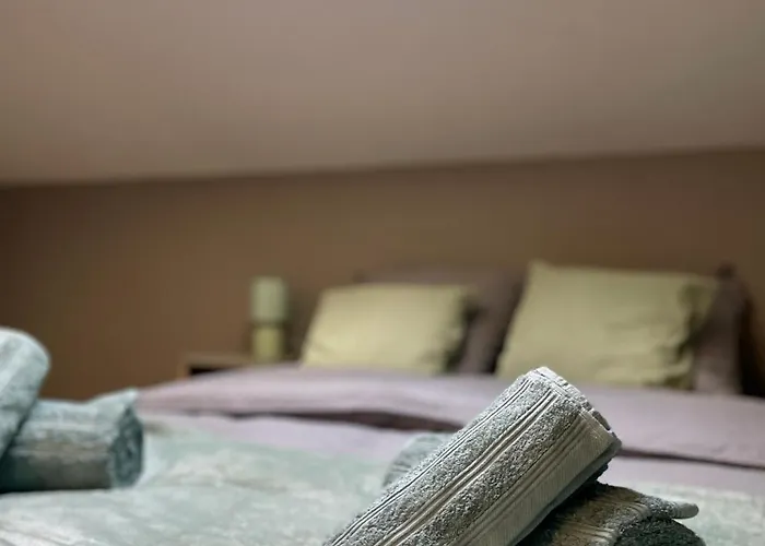 T3 Duplex Cosy - Notre-dame - Netflix - Terrasse * モントーバン